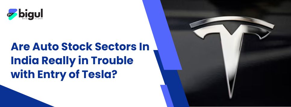 Are Auto Stock Sectors In India  Really in Trouble with Entry of Tesla